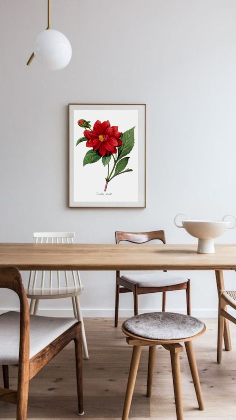 Flower Print, Home Decor, Botanical Illustration, Antique Flower Illustration, Dahila image 6