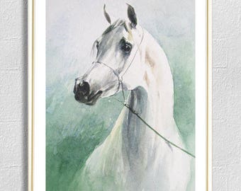 White Horse Watercolor Painting Print, Animal Wall Art