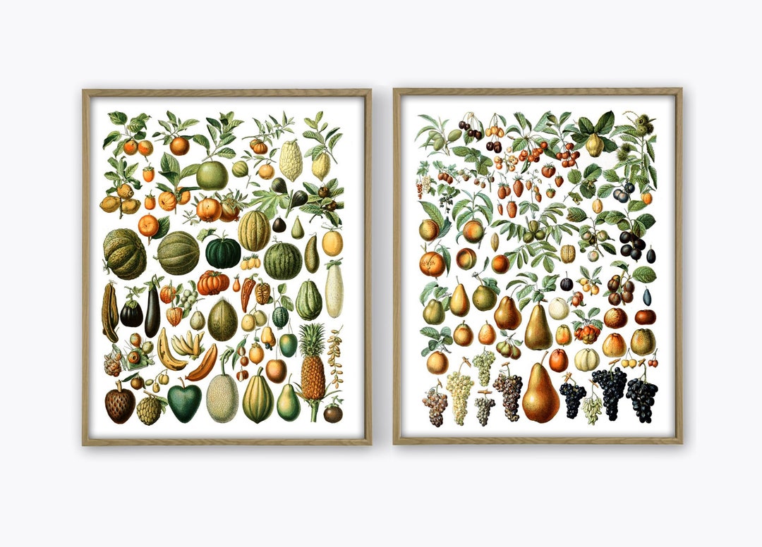 kitchen gallery wall art set of 6, vintage fruit... This item is unavailable - Etsy