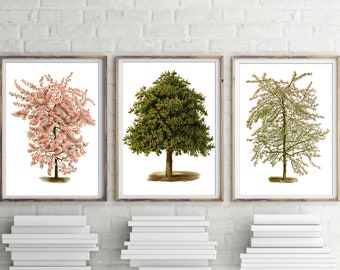 Tree Prints Set of 3, Botanical Home Decor, Tree Botanical Art, Apple Tree, Chestnut Tree Poster