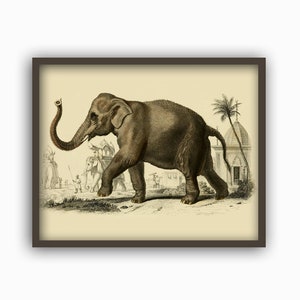Elephant Print, Animal Wall Decor, Elephant Picture, Home Decor, Antique Animal Art image 3