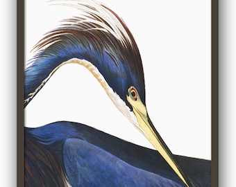 Blue Heron Bird Print, Large Scale Wall Art Decor, Vintage Illustration, Living Room Decor