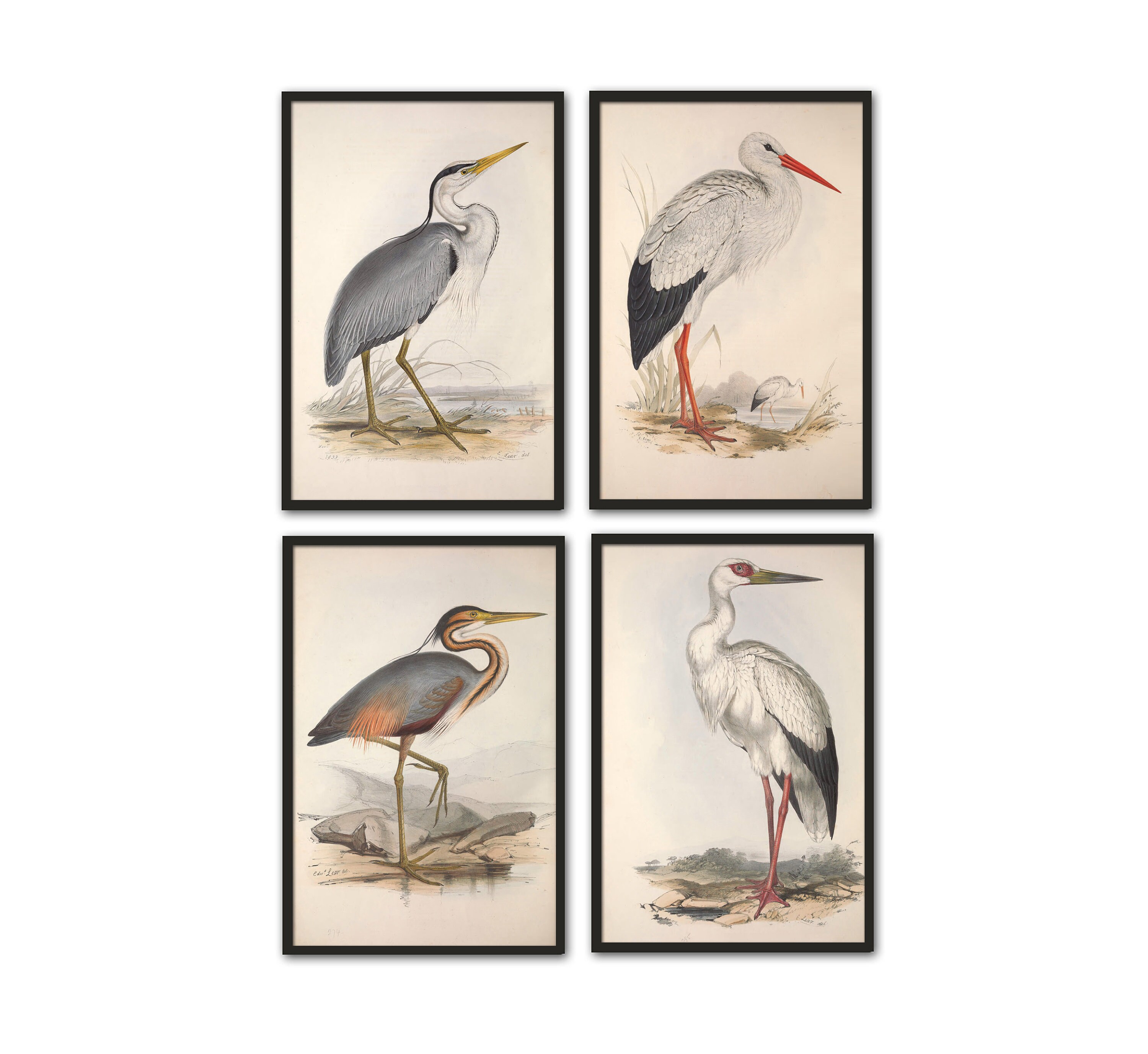 Birds Print Set Heron Crane Stork Print Bird Wall Art Decor Etsy