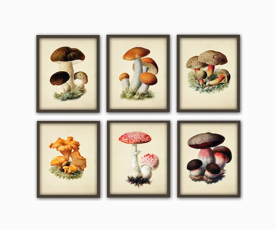 Mushroom Print Set Of 6 Mushroom Kitchen Decor Mushroom Etsy