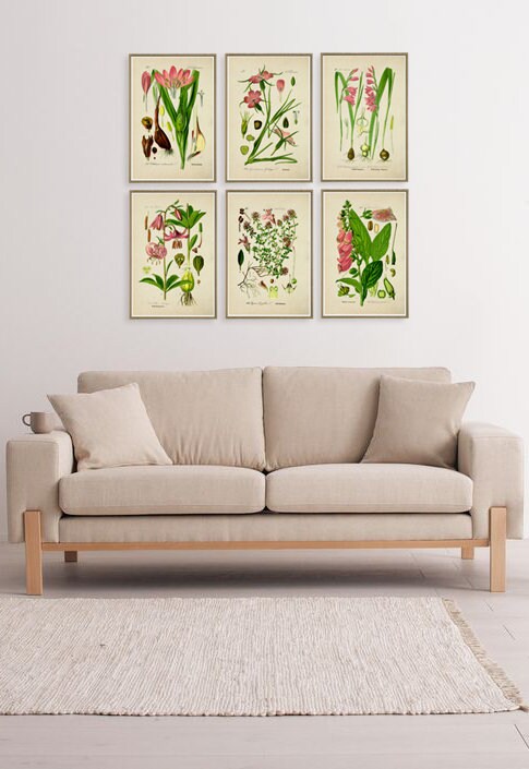 Flower Botanical Art Print Botanical Illustration Set of 6 Botanical ...
