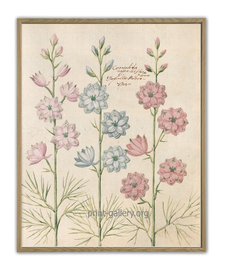 Pink and Blue Flower Print Botanical Wall Art Decor Flower Etsy