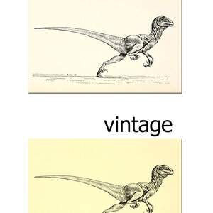 Pu&ograve; includere: Illustrazione vintage in bianco e nero di un dinosauro che corre. L'immagine &egrave; su uno sfondo crema con il testo "Baker '57" in basso.