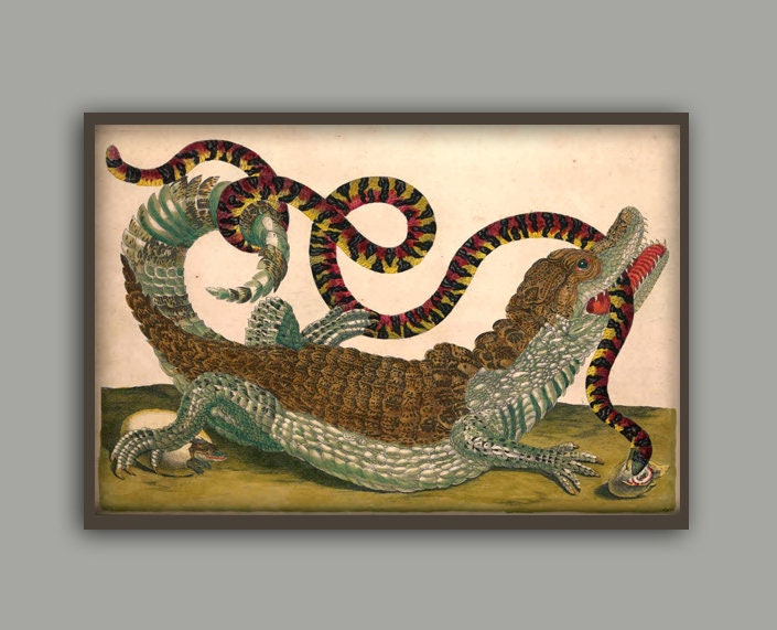 Crocodile and Snake Print, Antique Animals Print, Animals