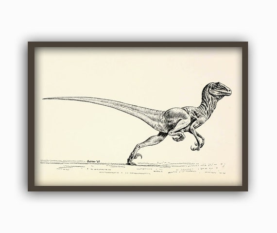 Dinosaur Print - Velociraptor Dinosaur Poster - Dinosaur Wall Art Print - Velociraptor Poster - Jurassic World - Horizontal Print -