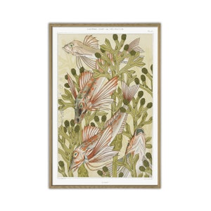 Fish Print, Marine wall Art Decor, Sea Animals Print, Vintage Art, Bathroom Decor, Wall Art Print, Fish and Seaweed