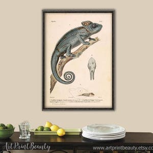 Chameleon Print Animal Wall Decor Lizard Reptile Tropical Animal Large Wall Art Decor Grey image 4