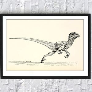 Pu&ograve; includere: Disegno in bianco e nero di un dinosauro che corre. Il dinosauro &egrave; rappresentato di profilo, con la testa girata a destra. Il disegno &egrave; etichettato "Deinonychus" in basso.