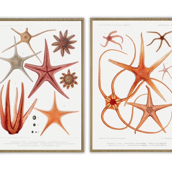 Bathroom Wall Decor Prints Set of 2 Modern Bathroom Art Prints, Starfish Print Set of 2