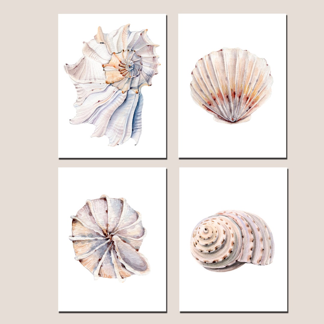 Sea Shell Wall Art Print Set of 4, Bathroom Decor, Watercolour Shell Painting Print, Marine