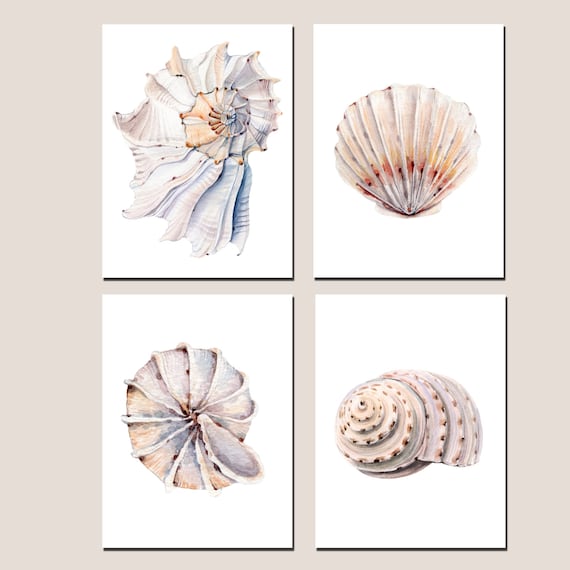 Wall Art Print, Seashells Collection