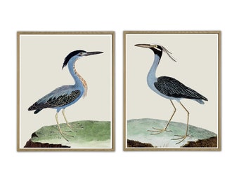 Birds Print Set of 2, Bird Wall Decor, Large Wall Art, Gallery Wall