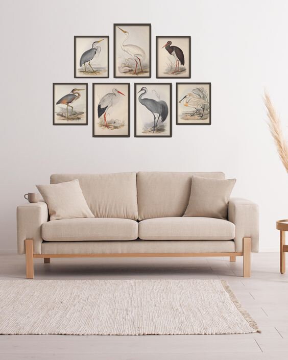 Vintage Bird Art Print Set, Heron, Crane, Stork - Etsy