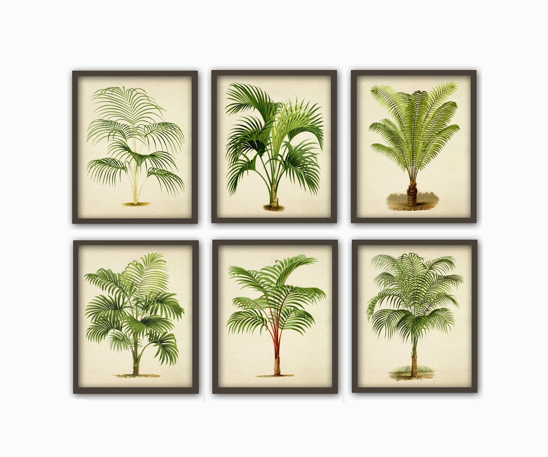 Palm Tree Prints Set of 6, Palm Leaves Print, Palm Botanical