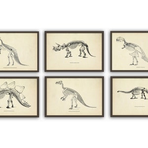 May include: Set of six black and white illustrations of dinosaur skeletons. The illustrations are framed in brown frames and are set against a white background.