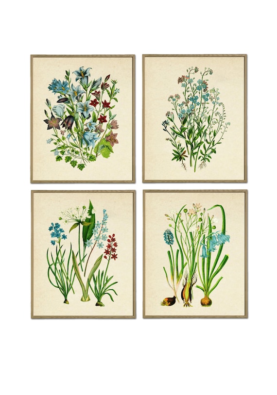 Blue Flowers Print Set of 4, Botanical Wall Decor, Flower Wall Art, Botany Print, Flowering Plant Poster