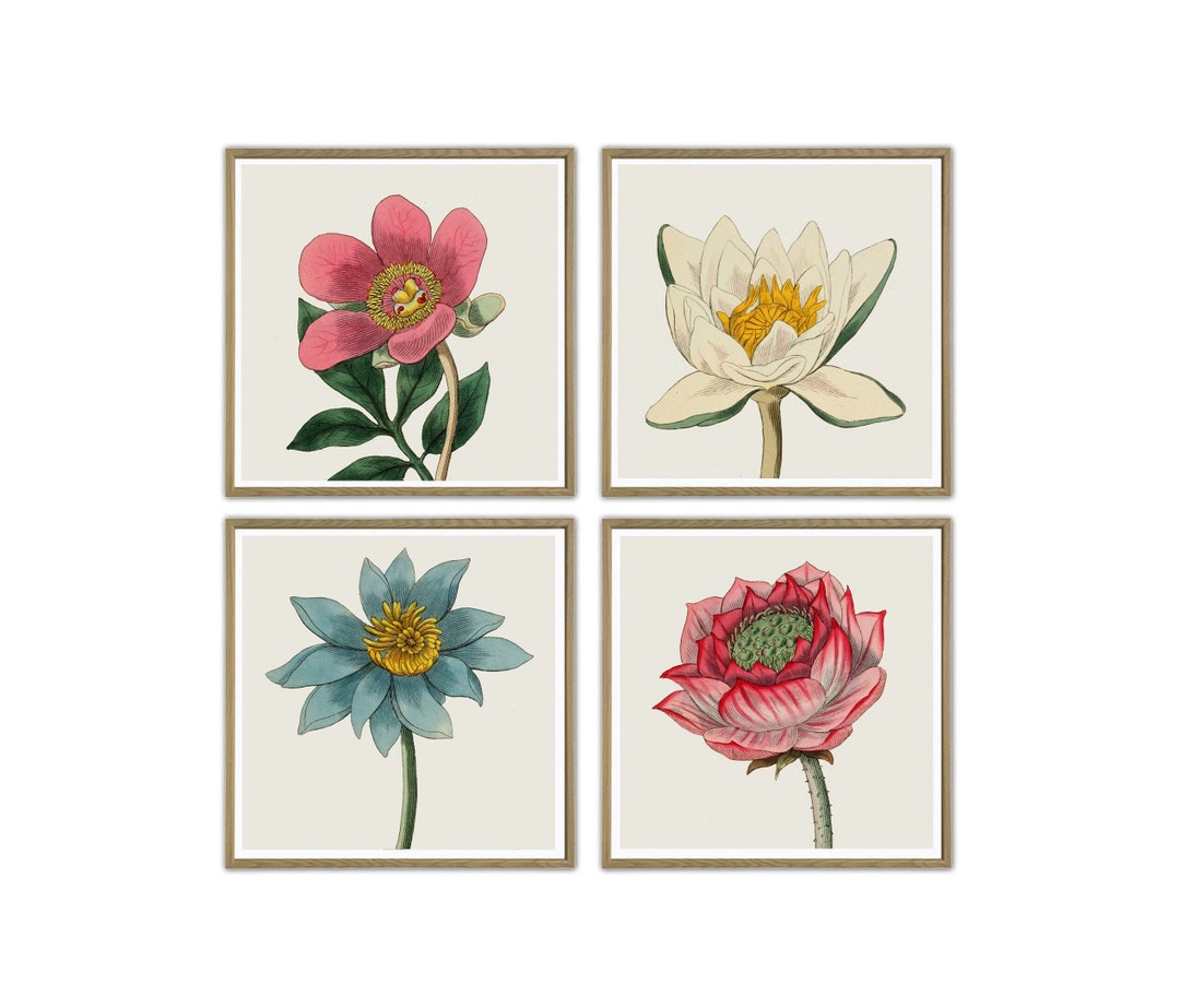 Flower Art Print Set Botanical Print Square Wall Art Decor Etsy