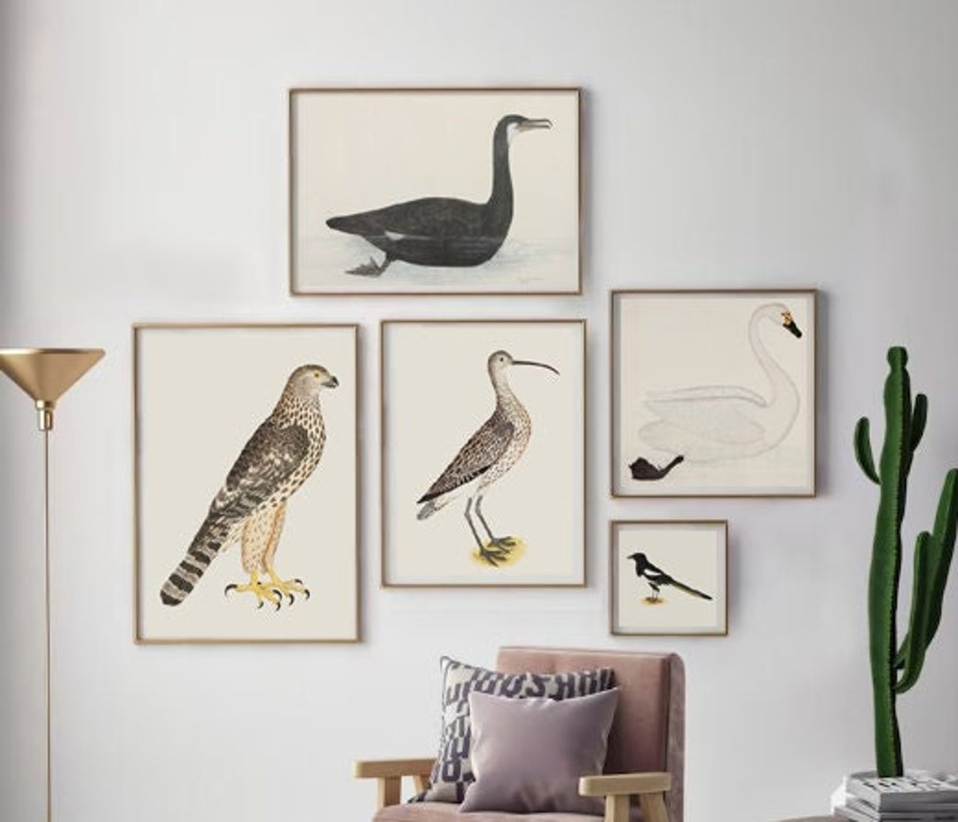 Bird Print Set, Home Gallery Wall Art Decor, Living Room Decor, Large ...