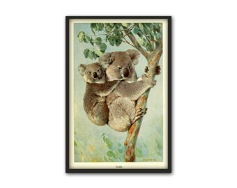 コアラのプリント オーストラリアの動物の絵、動物の壁アート装飾