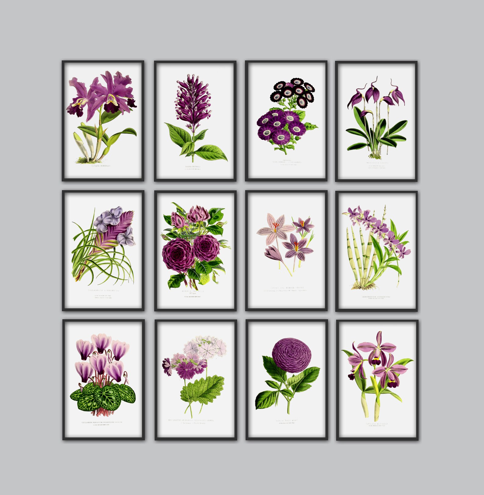 Flowers Art Print Set of 12 Gallery Wall Botanical Art Etsy