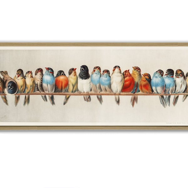 Bird Wall Art Decor, Landscape Botanical Print, Horizontal Long Narrow Wall Art Print, Vintage Bird  Illustration Print