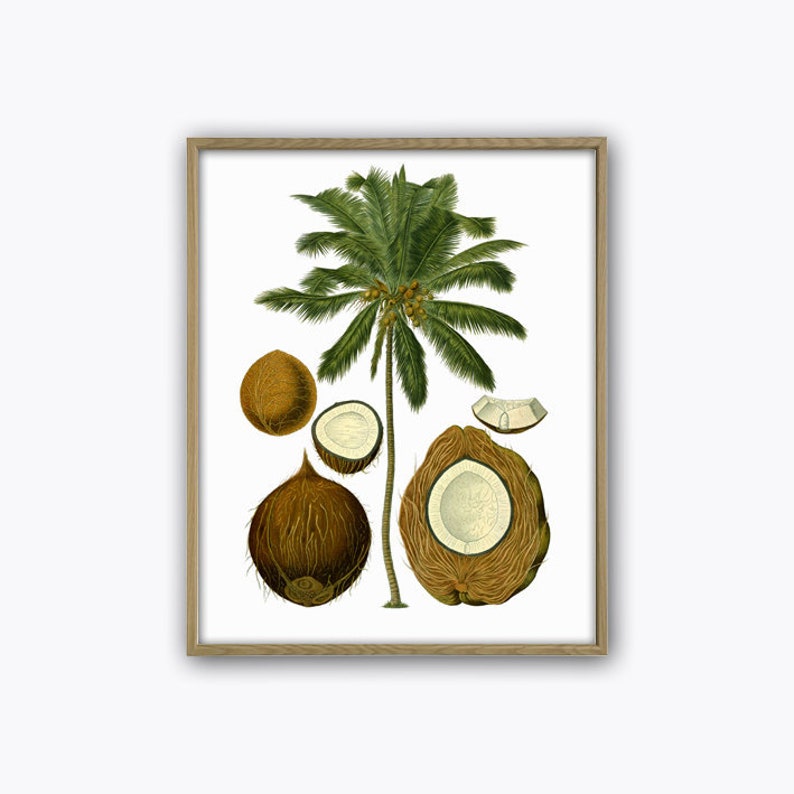 Palm Tree Print Kitchen Wall Decor Botanical Ilration Poster Art 380