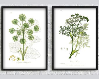 Green plants print leaves print flowers print botanical illustration SET of 2 wall art print