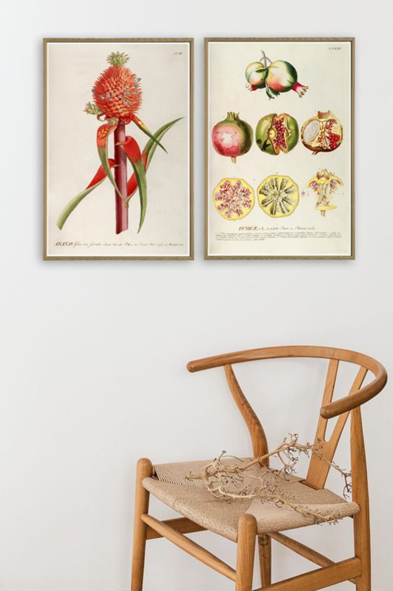 set of 2 kitchen prints | kitchen wall art, fruit wall... Set of 2 Fruit Print, Kitchen Wall Art Decor, Pineapple and Pomegranate ...