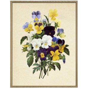 K&ouml;nnte beinhalten: Eine gerahmte Vintage-botanische Illustration eines Strau&szlig;es aus violetten, gelben und wei&szlig;en Stiefm&uuml;tterchen mit gr&uuml;nen Bl&auml;ttern.