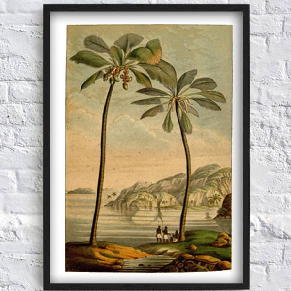 Antike Palme Wand Kunst Druck - Palme Botanische Illustration Kunst - Palme Poster - Wohnkultur