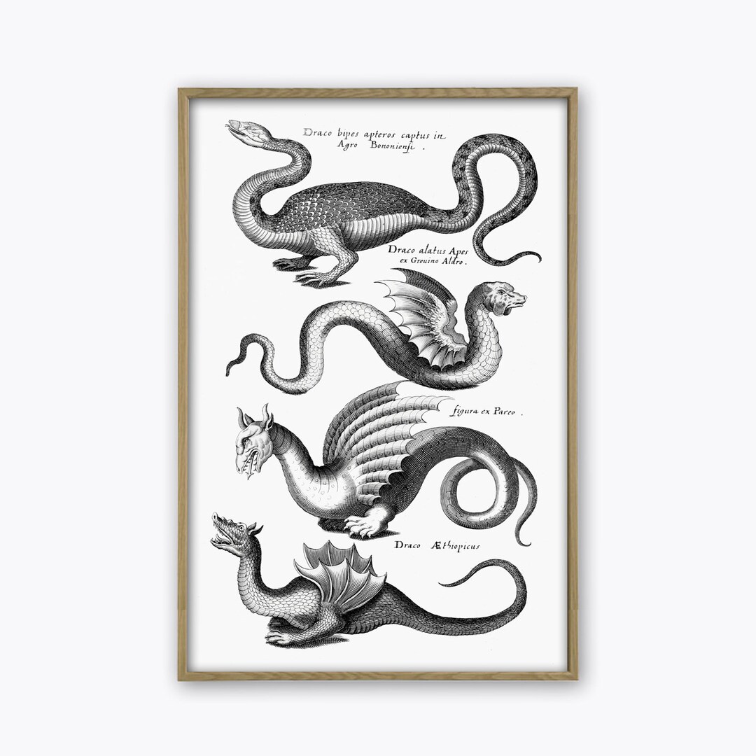 Dragon Print - Antique Dragon Wall Art Decor - Dragon Poster - Vintage ...