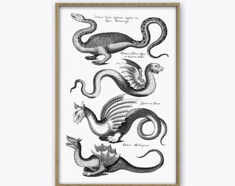 Dragon Print - Antique Dragon Wall Art Decor - Dragon Poster - Vintage Illustration