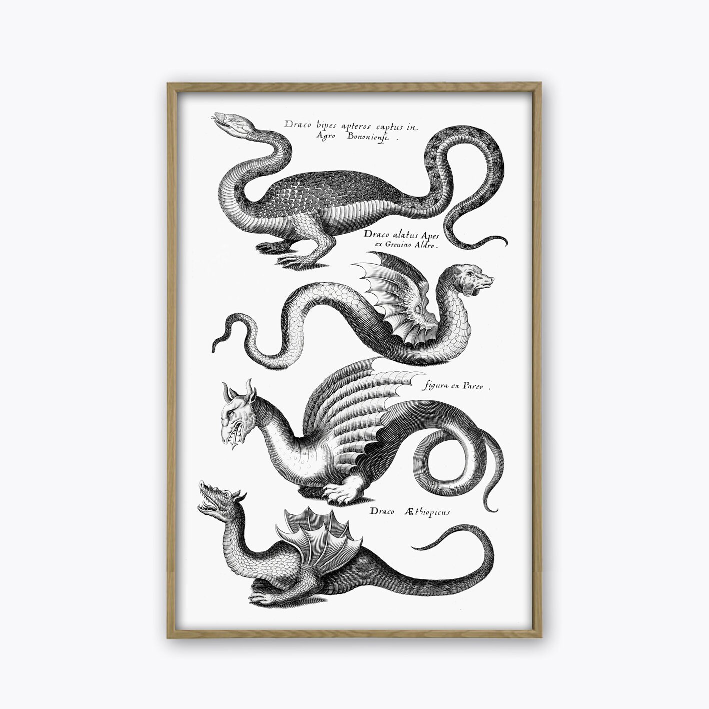 Vintage White dragontail Print Wall Art