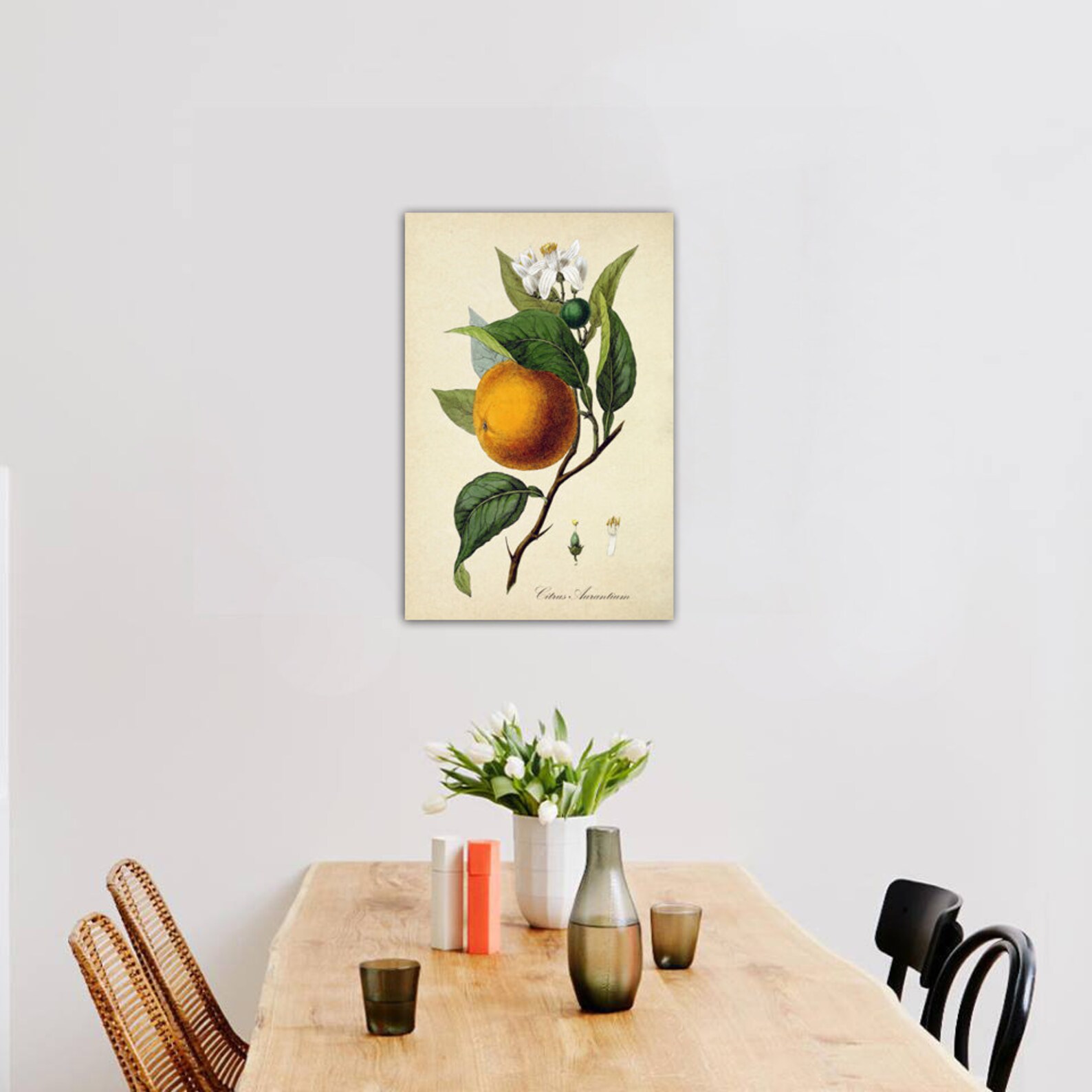Fruit Kitchen Wall Art Print Antique Botanical Illustration Etsy