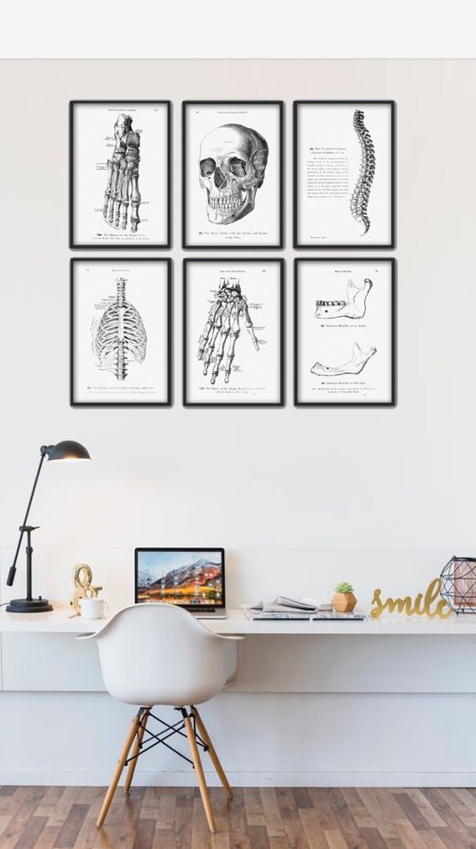 Human Skeleton Bones Print Set of 6 - Human Skull Wall Art - Anatomy ...