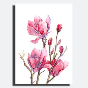 May include: Watercolor painting of pink magnolia flowers in bloom. The flowers are delicate and have a soft, watercolor effect. The painting is on a white background.