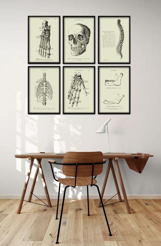 Human Anatomy Print Set of 6, Medical Office Wall Art Decor, Vintage ...