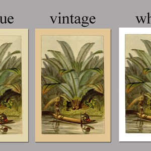 May include: An antique illustration of a tropical scene with two people in a canoe paddling through a river. The scene features a large palm tree with lush green leaves and a background of other palm trees.
