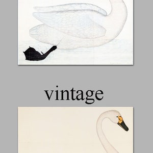 Swan Bird Square Print Home Decor Vintage Illustration image 5