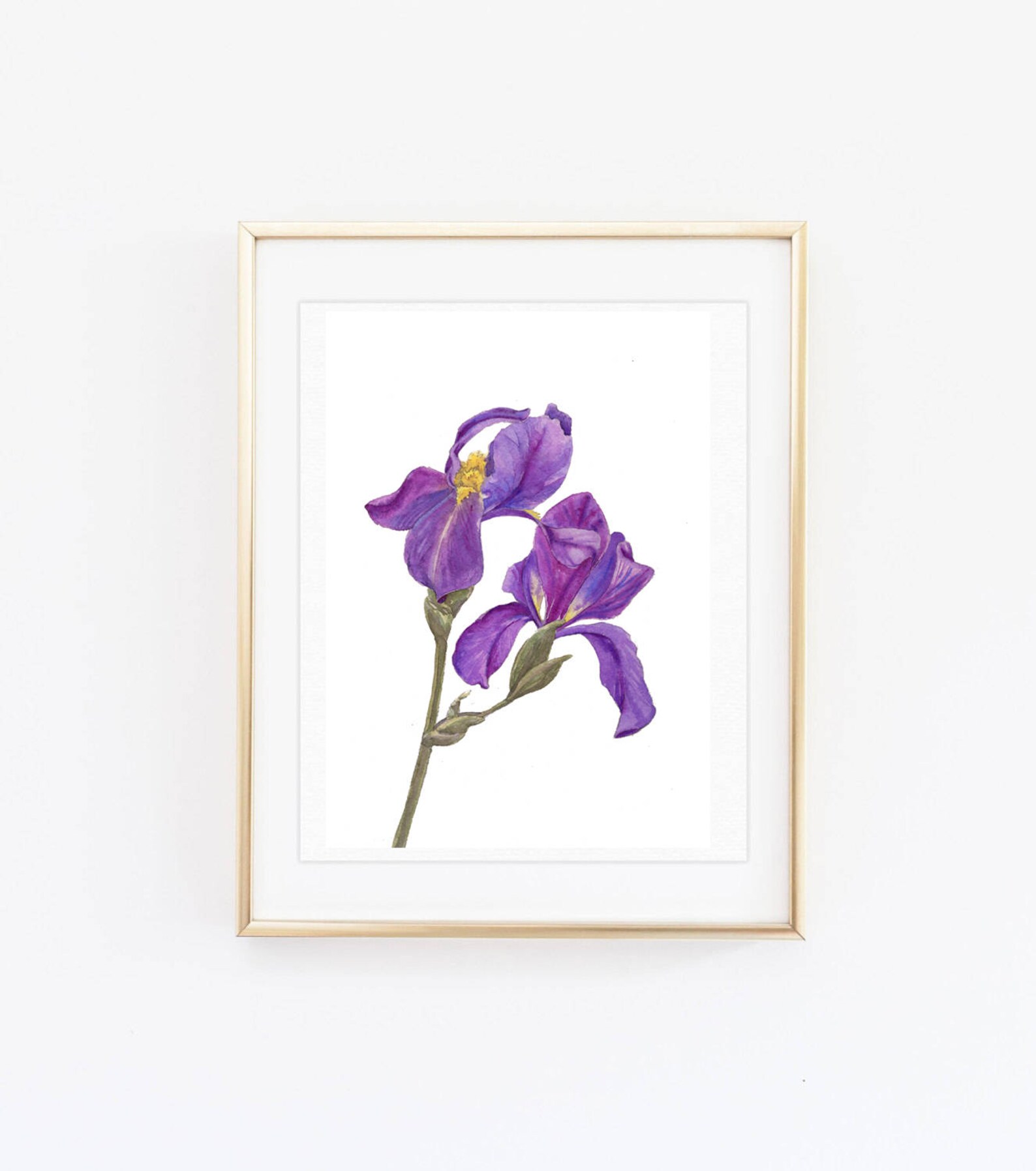 Iris Violet Wall Art
