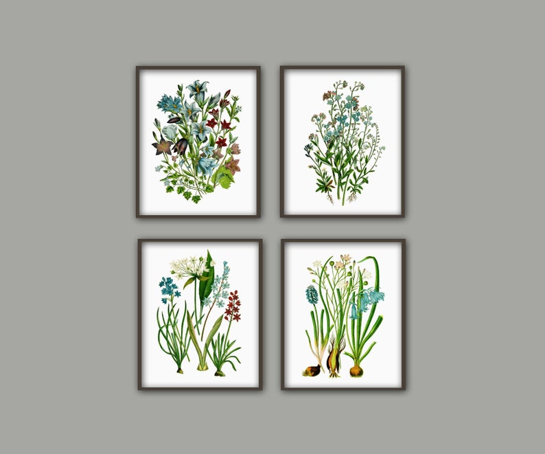 May include: Set of four botanical prints featuring blue, white, and red flowers with green leaves. The prints are framed in black frames and are arranged in a grid pattern.