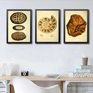 Minerals Print Stone Poster Minerals Art Geology Science Mineralogy Decor Earth Science Geologist Gift Idea Wall Art Print image 5