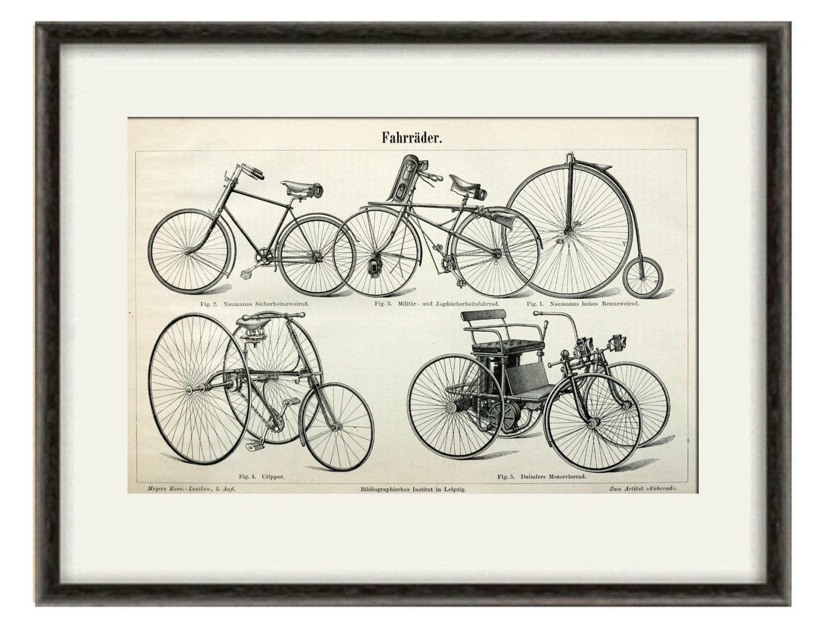 Types of Vintage Bicycles High Wheel Bike Bicycle Penny Etsy