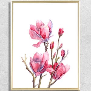 May include: A watercolor painting of pink magnolia flowers in bloom. The flowers are depicted with delicate details and soft colors, creating a romantic and elegant feel.