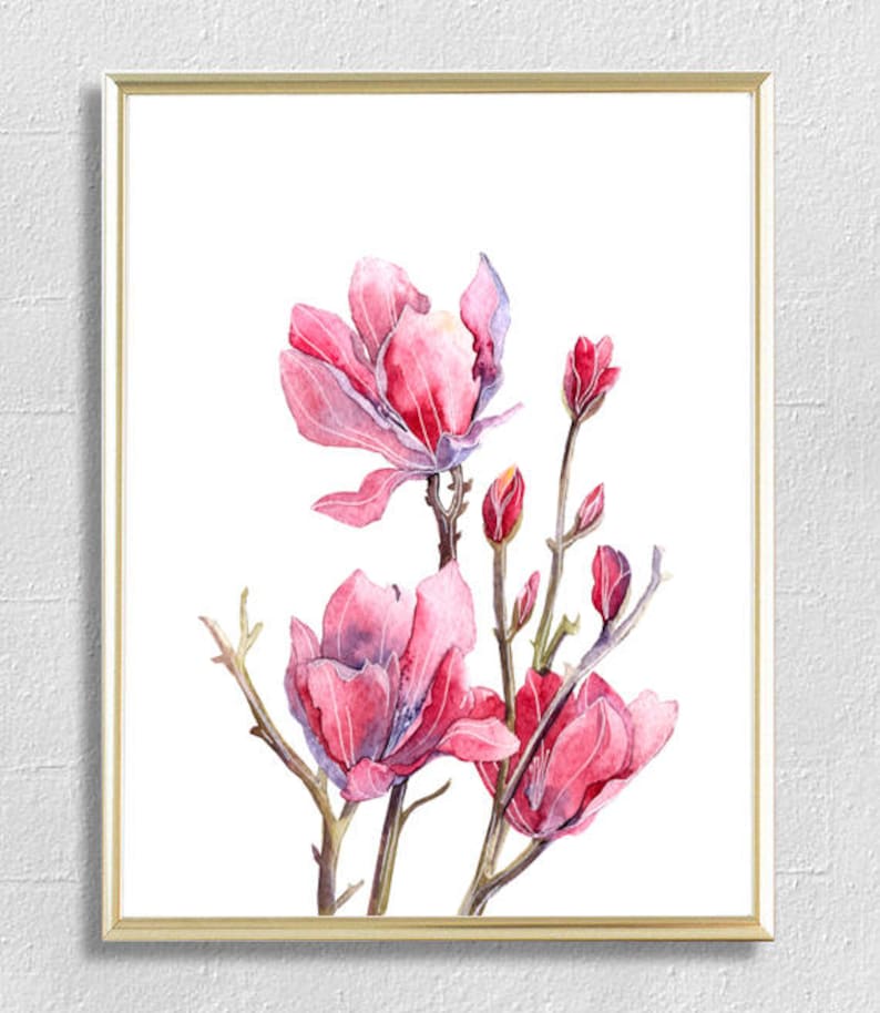 May include: A watercolor painting of pink magnolia flowers in bloom. The flowers are depicted with delicate details and soft colors, creating a romantic and elegant feel.