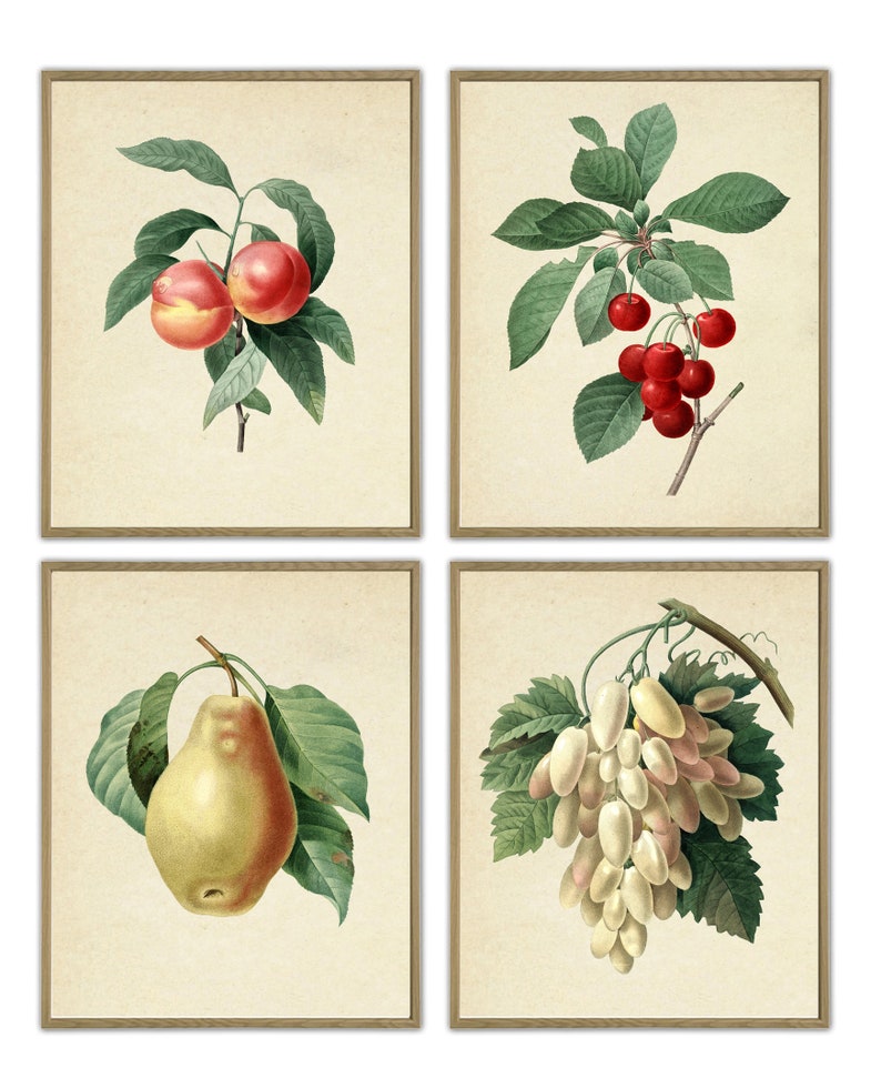 Fruit Print Kitchen Wall Decor Fruit Botanical Prints Set of Etsy